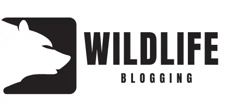 Wildlife Blogging
